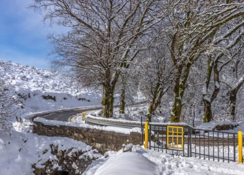 himachal header