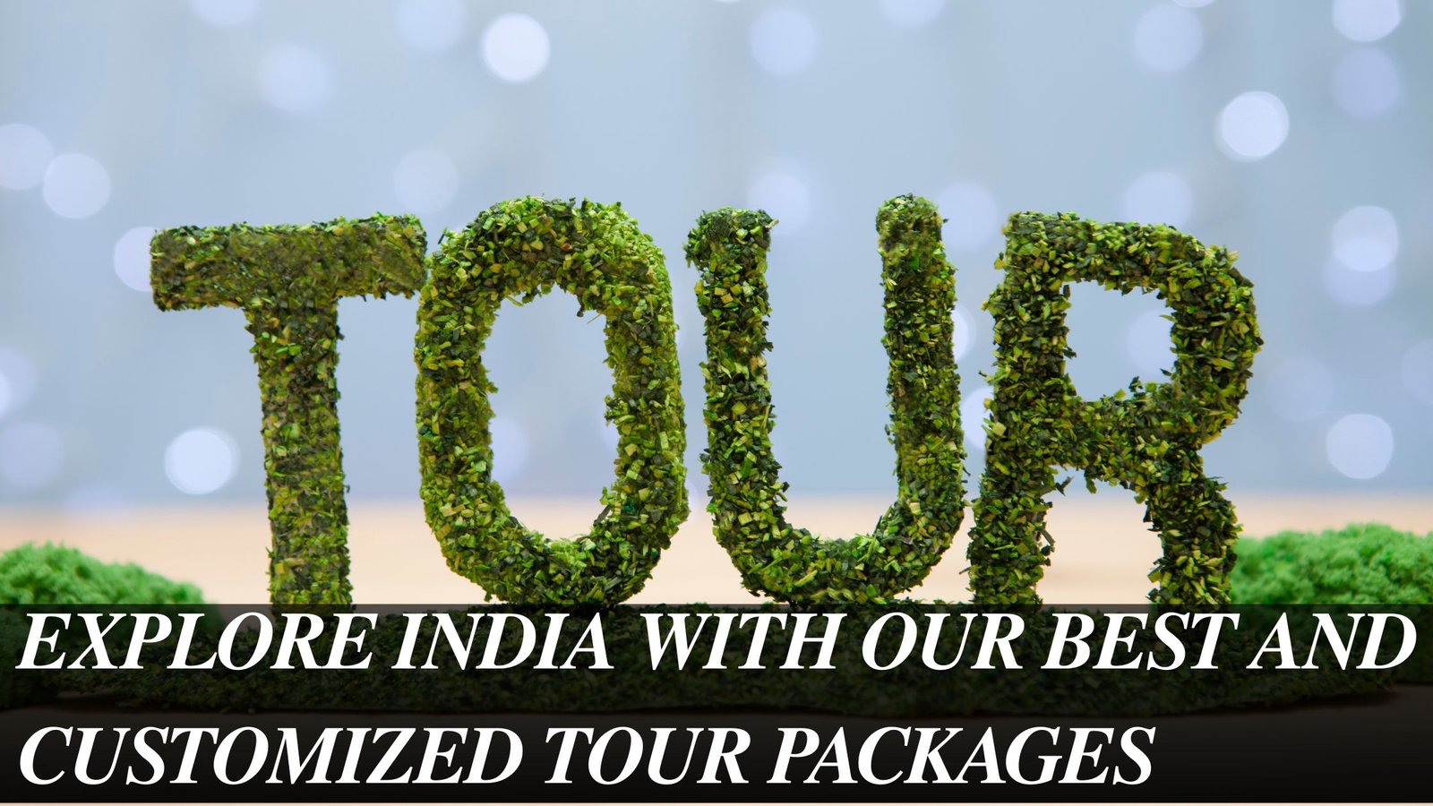 tour and travel agency in Gujarat