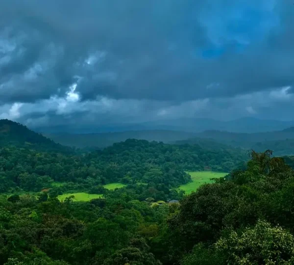Beautiful view of Coorg during monsoon with lush greenery and clouds, making it one of the best places to visit in monsoon in India.