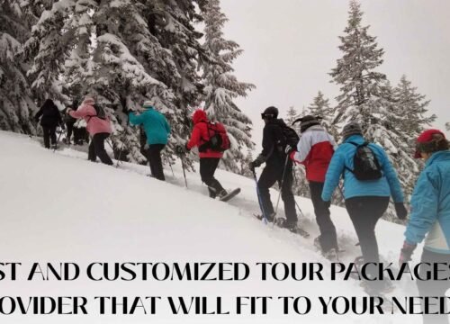 How To Get The Best Customized Tour Packages From Ahmedabad And Surat?